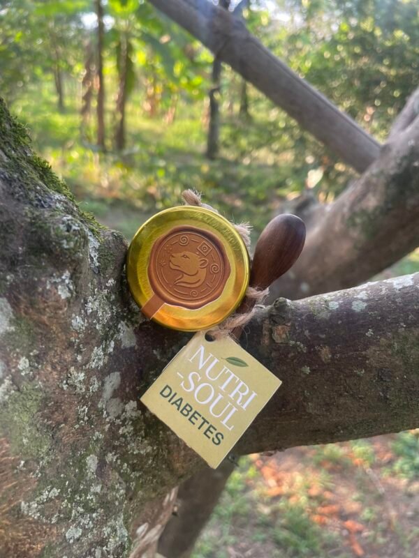 Nutri-Soul DIABETES