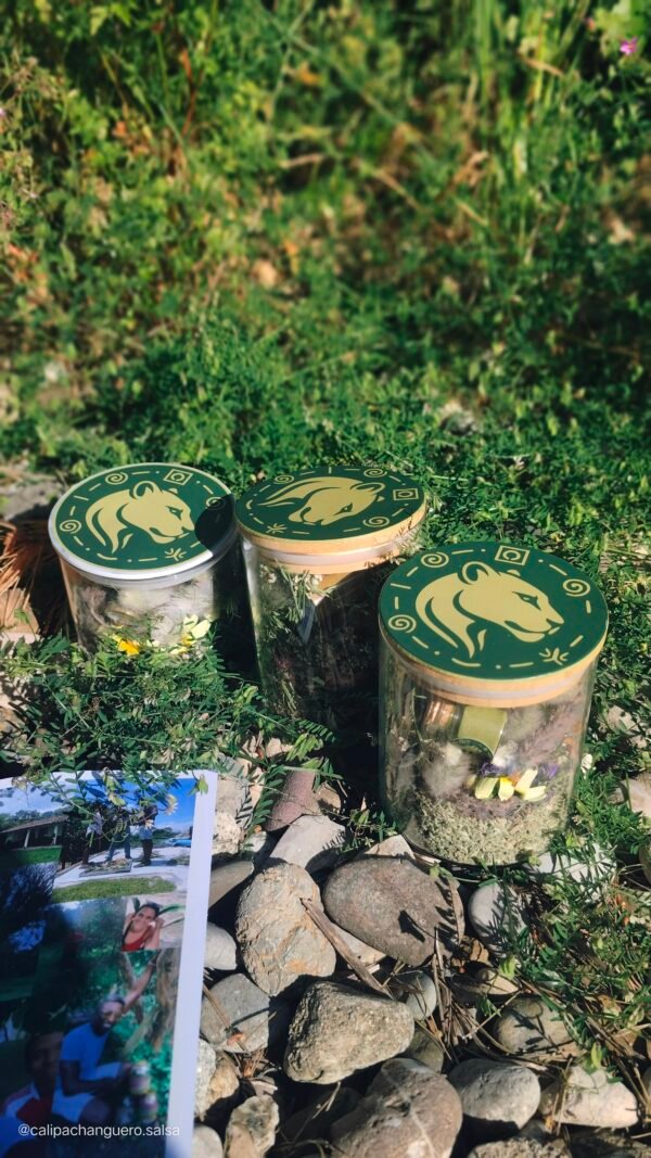 Nutri-Soul TRIOLOGÍA ANCESTRAL