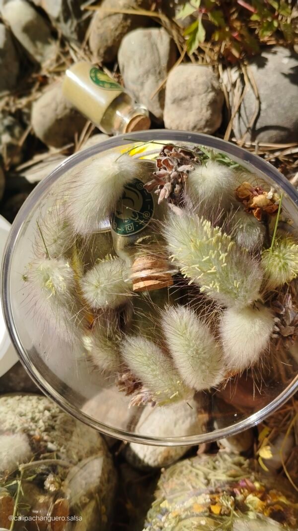 Nutri-Soul AIRE CLARO