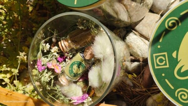 Nutri-Soul TRIOLOGÍA ANCESTRAL