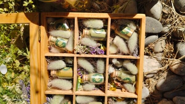 Nutri-Soul AIRE CLARO