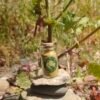 nutri-soul-corona-firme Nutri-Soul CORONA FIRME