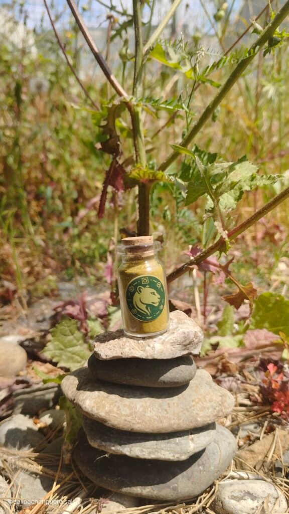 Nutri-Soul CORONA FIRME