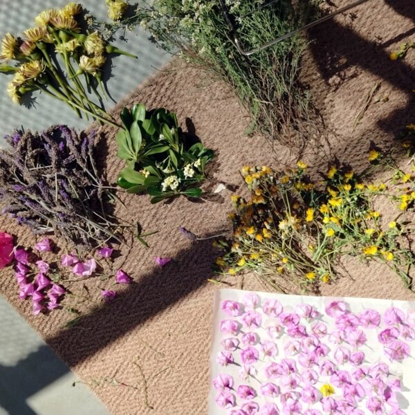 flores-solsticio-ritual-bano-solar Ingredientes botánicos de Ritual Baño Solar sobre esterilla natural